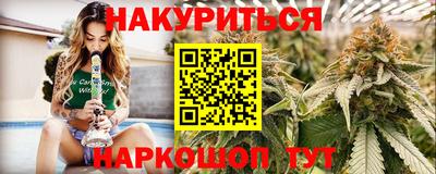 Альфа ПВП Можга