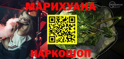 Альфа ПВП Можга